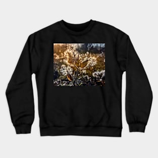 Milkweed Seeds In The Sun Crewneck Sweatshirt